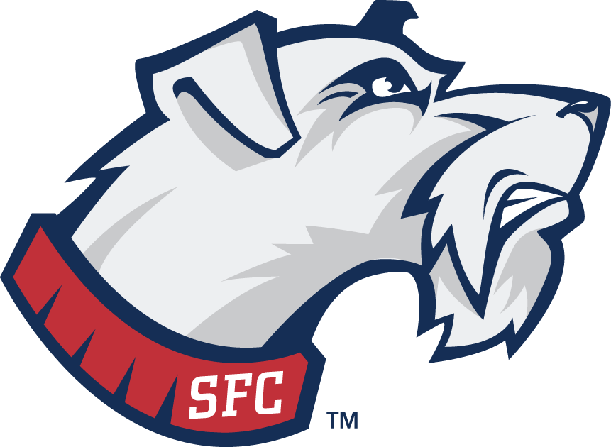 St. Francis Terriers 2001-2013 Secondary Logo iron on transfers for T-shirts